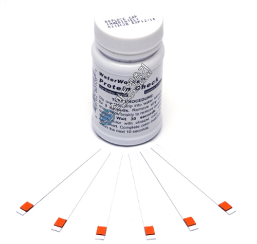 B50-Protein 단백질 수질검사키트