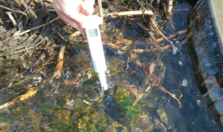 MIL-55 포켓타입 pH측정기, Milwaukee pH Meter