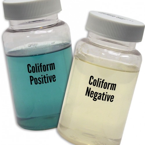 EZ Coliform Cult 박테리아 검사키트 Bacteria kit