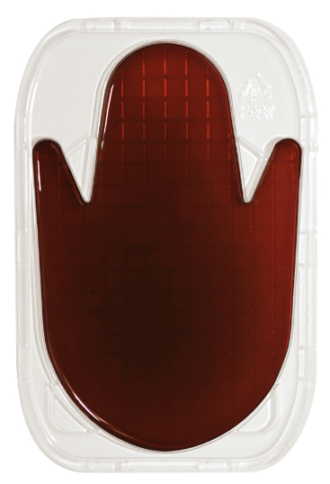 핸드플레이트 대장균 및 대장균군 검출용 배지