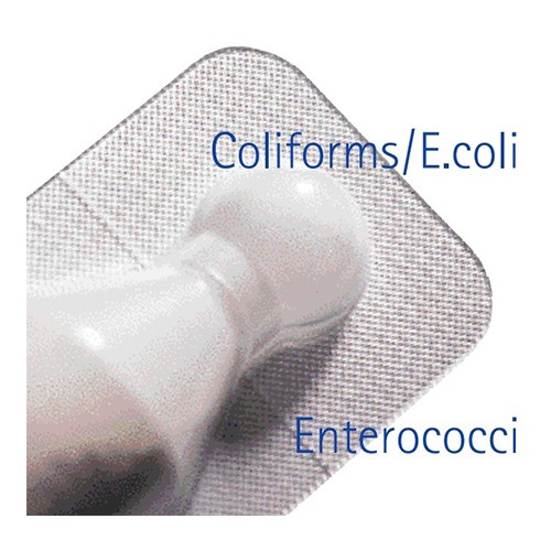 Readycult Coliform 총대장균용 수질검사 키트 ﻿