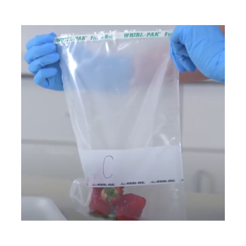 필터 멸균백 B01488 필터로 걸러 깨끗한 샘플채취 NASCO 25.4 x 38cm