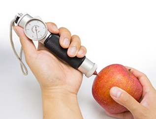 KM-5 과일 배, 감, 사과 숙성도 측정 경도계