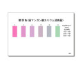 WAK-PMD-2-SH 과망간산염 색대조표 Permanganate 색상표
