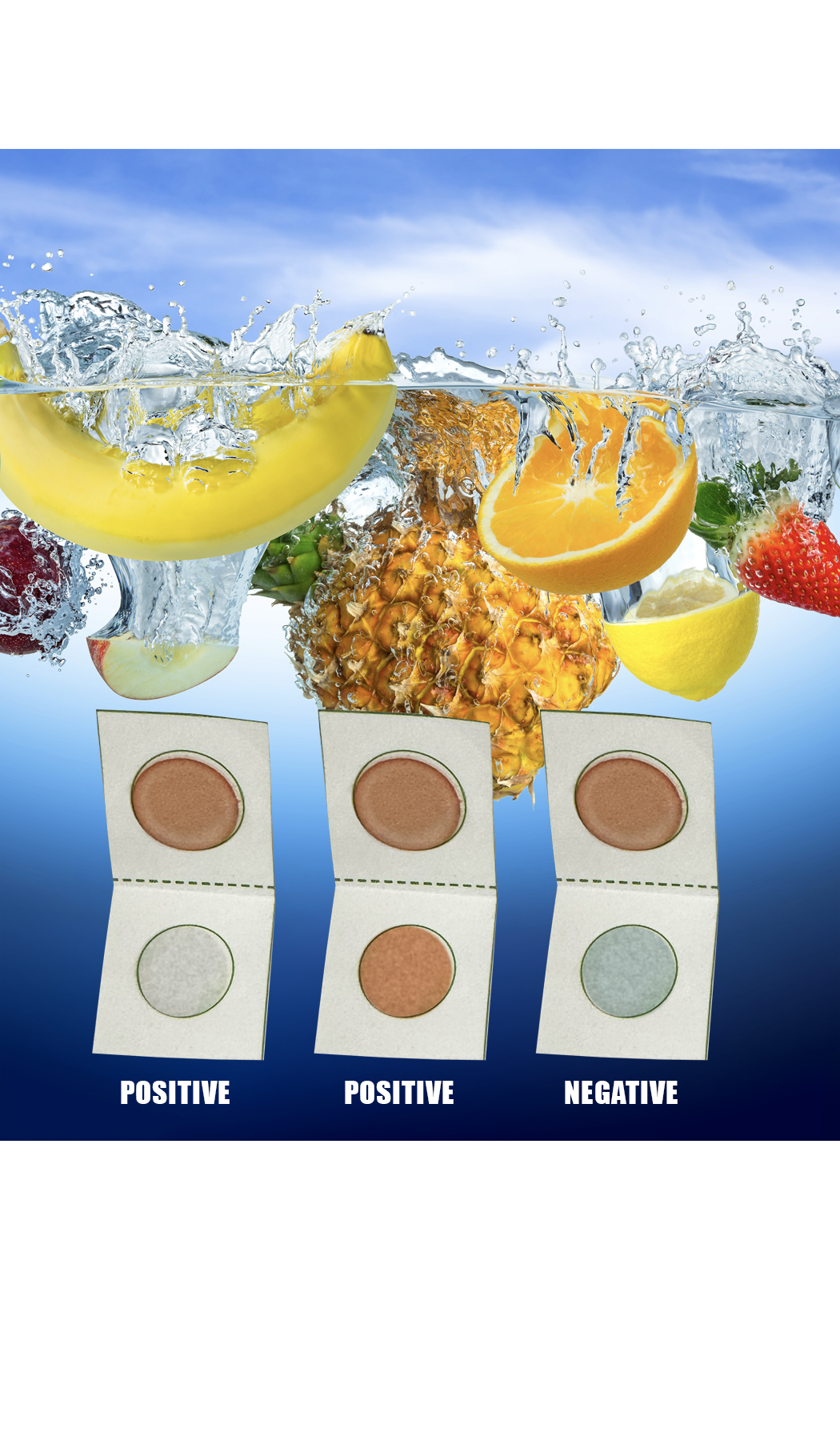 잔류농약 검사 키트 2회분, 채소 과일 살충제 성분 13종 간편 셀프 자가 테스트