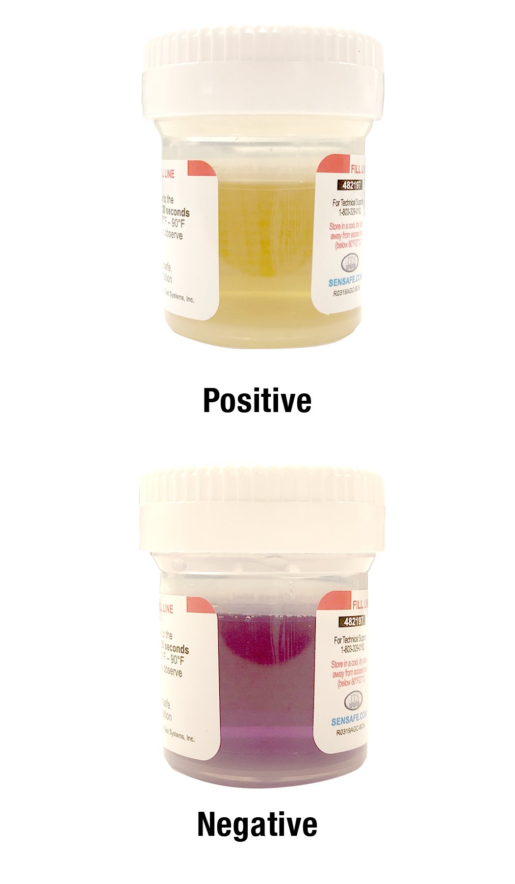 박테리아 자가 측정 키트, 먹는물 셀프 간이 수질검사 1회용 간편 테스트